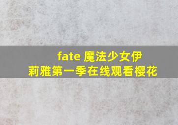 fate 魔法少女伊莉雅第一季在线观看樱花